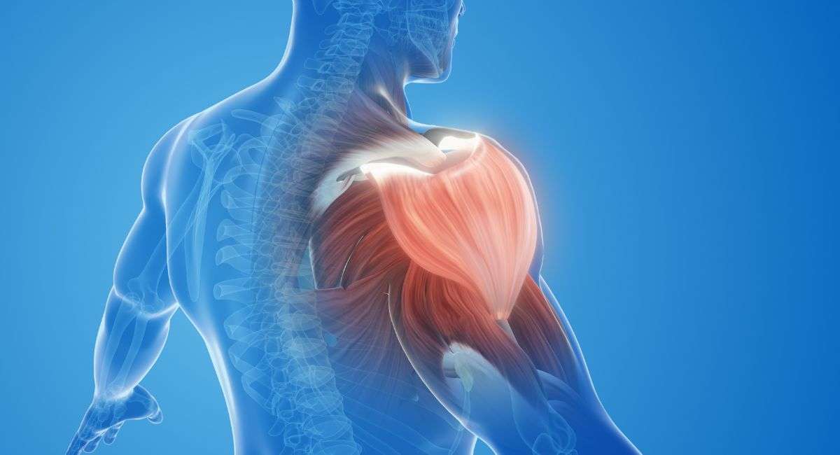 Decoding Shoulder Pain: Signs, Symptoms, and When to Consult a 